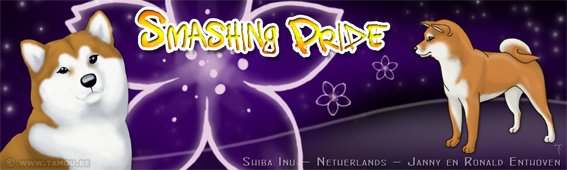 Smashing Pride Shibas